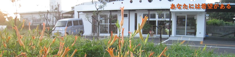 沖縄の植物