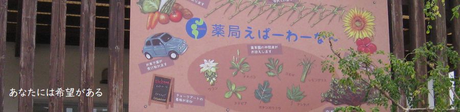 トップ画像
